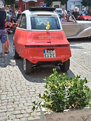 Süße Maus gesucht