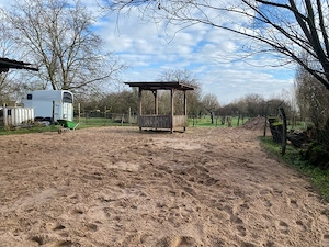 Offenstall mit Trail    Rentner und Senioren Pferde Bild 5