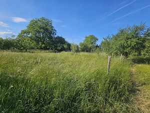 Offenstall mit Trail    Rentner und Senioren Pferde Bild 2