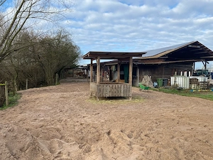 Offenstall mit Trail    Rentner und Senioren Pferde Bild 4