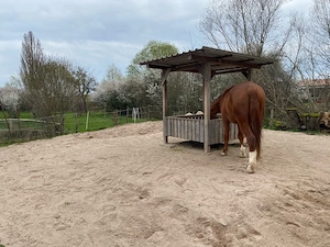Offenstall mit Trail    Rentner und Senioren Pferde Bild 8