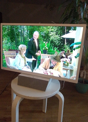 smart tv 24zoll wie neu