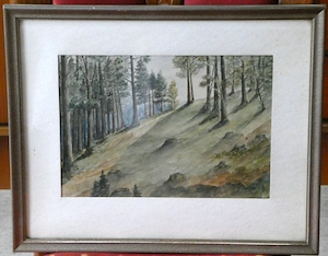 Altes Wald Bild   