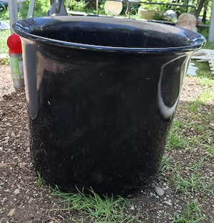 großer Blumenkübel   Blumentopf   Pflanzgefäß   Keramik schwarz