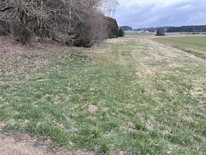 1,5ha landwirtschaftliche Grünfläche zu verkaufen (privat)