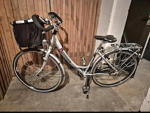 Pegasus Damen Fahrrad 