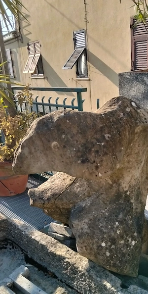 Einzigartiger Stein in Form eines Vogelkopfes