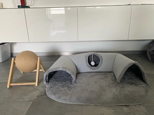 Katzen spielzeug