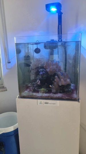 Salzwasser Cube Reef Factory
