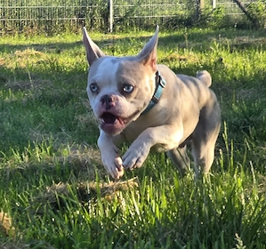 Casper- ein Prinz sucht seinen Lebensplatz Bild 3