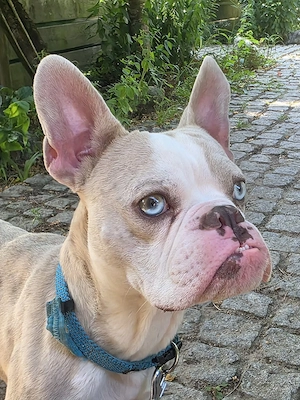 Casper- ein Prinz sucht seinen Lebensplatz Bild 6