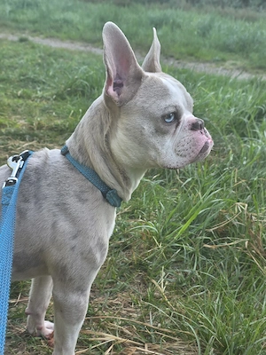 Casper- ein Prinz sucht seinen Lebensplatz Bild 5