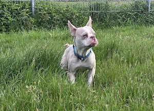 Casper- ein Prinz sucht seinen Lebensplatz Bild 4