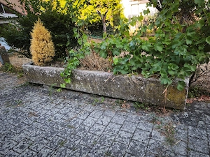 Großer, alter Blumentrog