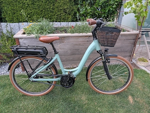 Riese & Müller Swing Vario Citybike