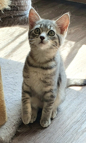 Schöner Bube