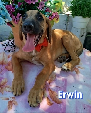 Erwin, 03 26 - möchte gern die Welt sehen