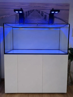 Meerwasser aqarium 135 56 55