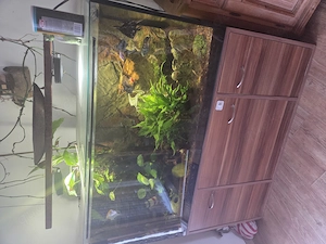 Kompttes aquarium 