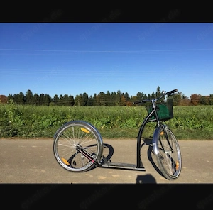 Trotinette, Tretroller