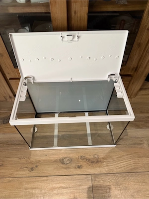 60 er Zuchtbecken vom Aquarienbauer 60x40x30 cm .