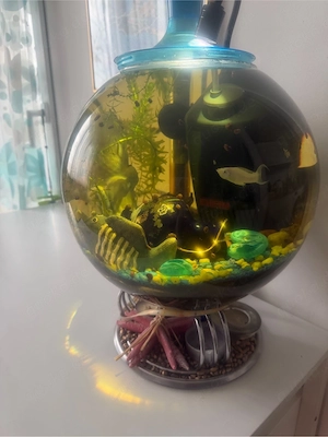 Ich verkaufe ein rundes Aquarium.