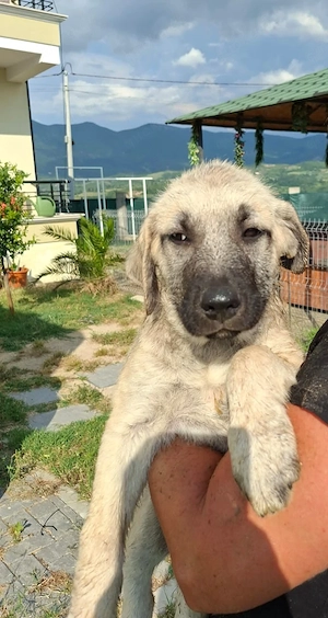 murhfy sucht ab oktober 