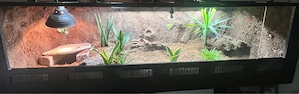 Terrarium mit Einrichtung 2m lang
