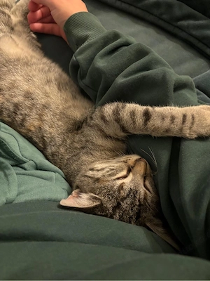 Luna wünscht sich ein neues Zuhause