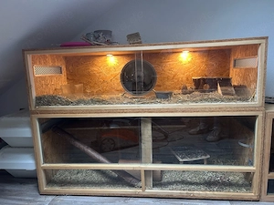 OSB Terrarien