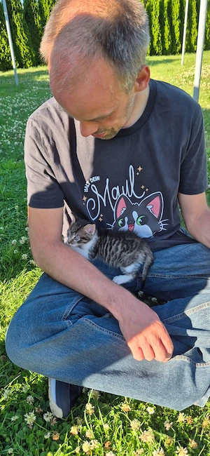 Kitten Kater abzugeben (8 Wochen alt)