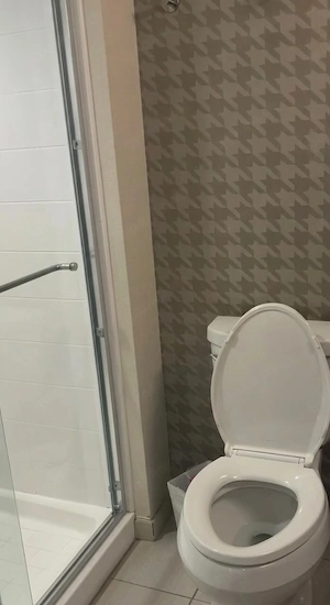  wohnung zu vermieten sofort einziehen!