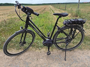 E-Bike Koga E-Lement RH 53