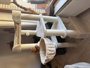   NEU  Komplettausstattung Kitten Katze  