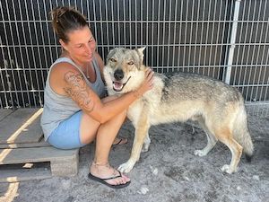 Loba, 7 J., sucht ein ruhiges, gemütliches Plätzchen  Bild 9