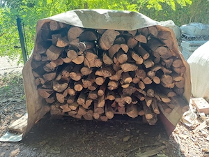 Brennholz-Buche