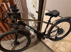 Fahrrad    E-Bike    Burchda RX60