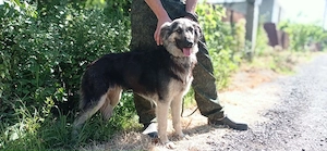 Diana, freundlich und bescheiden 