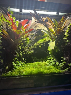 Exo Terra 45x45x45