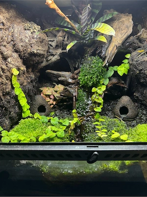 Exo Terra 45x45x45