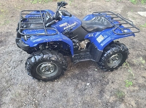2006 Yamaha kodiak Bild 3