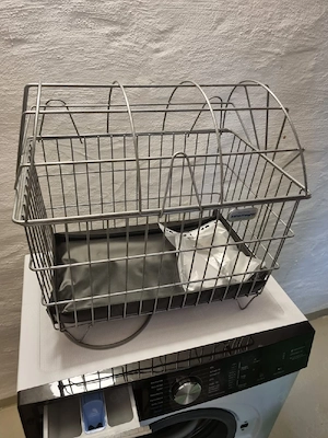 Zinsmayer Hunde-Fahrradkorb für Gepäckträger - Komplettset!