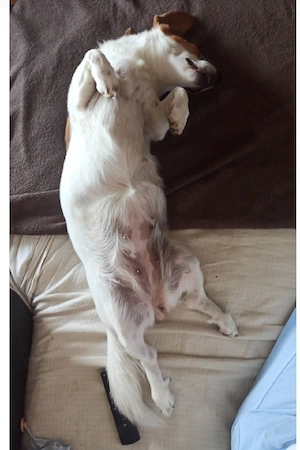 Keine Zaubermaus Sally sucht ihr Zuhause Bild 5