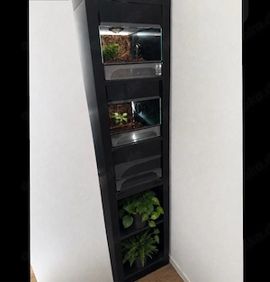 Terrarack 3er zu verschenken 