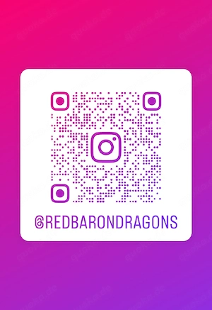 Hamm! 0.1 Red Monster Bartagame Pogona Vitticeps  Bild 2
