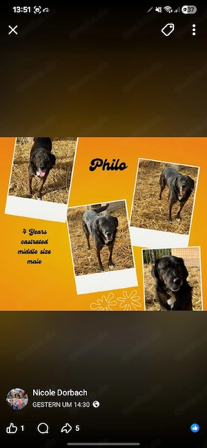 philo sucht ab oktober