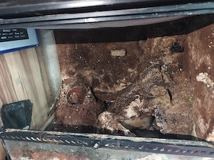 Exoterra terrarium 