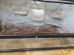 Exoterra terrarium 