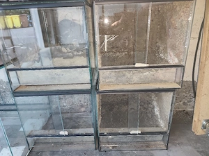 Würfelterrarium 30 30 30