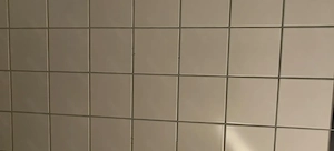 Suche devote Stute-Sklavin zur Benutzung